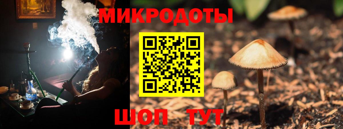 Псилоцибиновые грибы Psilocybe Усолье-Сибирское